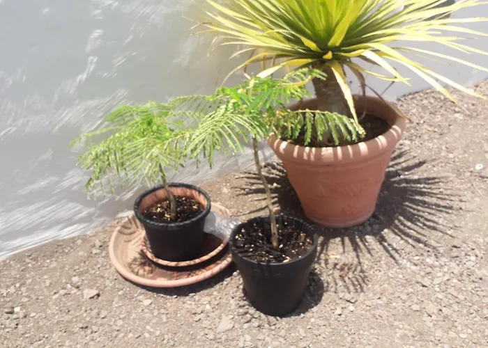 Nueva Casa Rural Piscina Privada