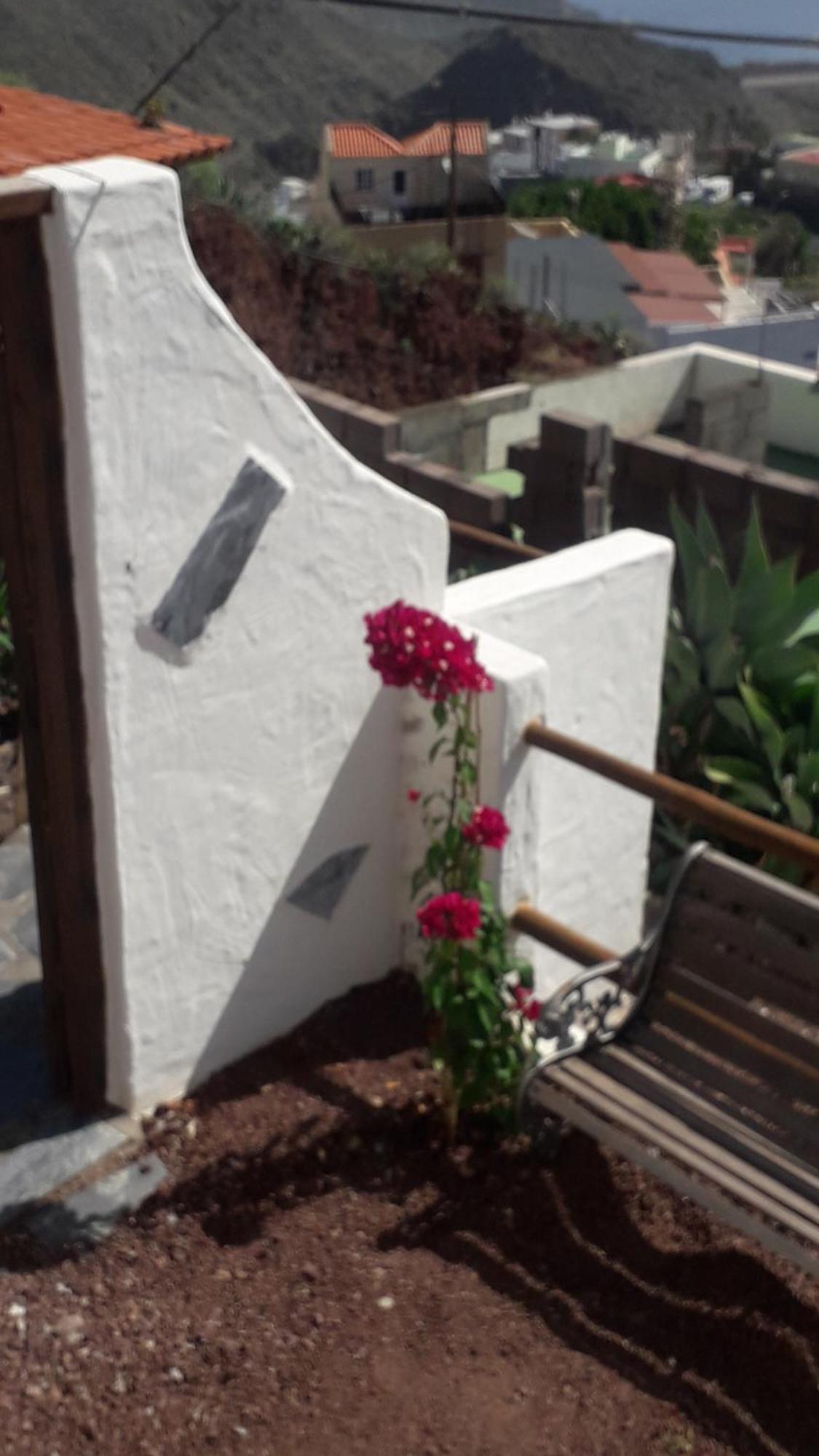 Nueva Piscina Privada Holiday home Santa Cruz de Tenerife