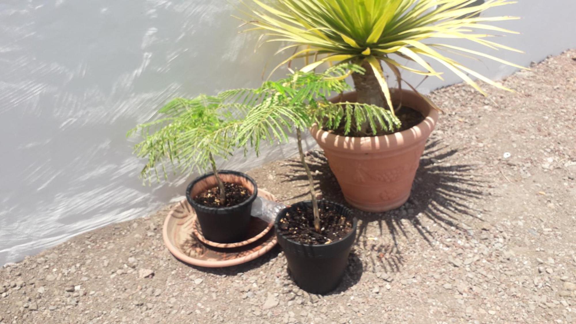 Nueva Piscina Privada Ferienhaus *